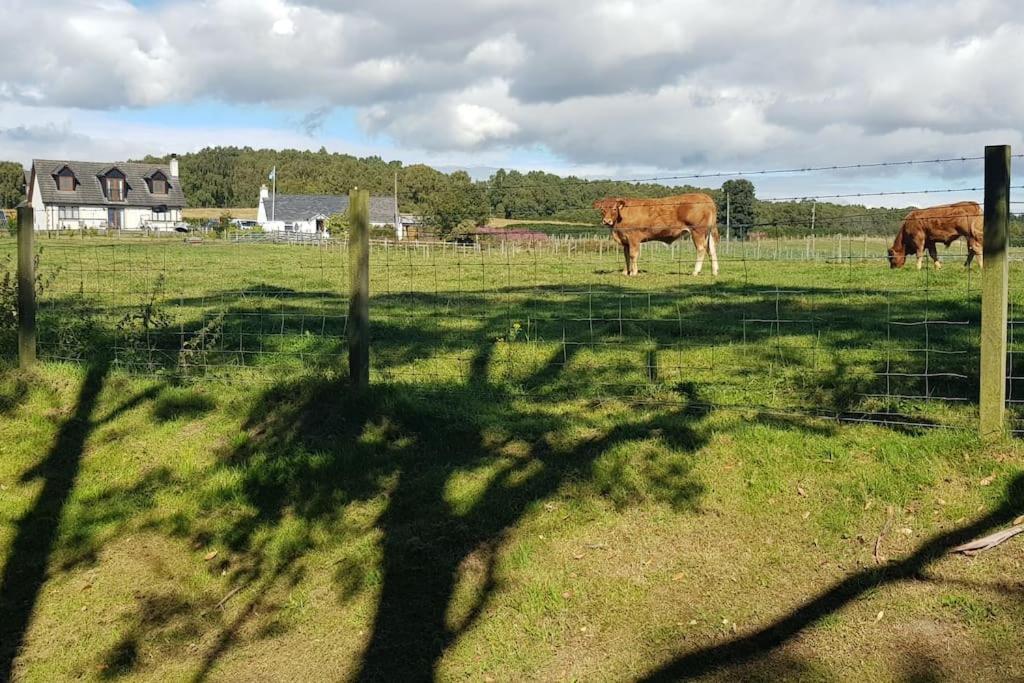 Cosy 2 Bedroom Croft Cottage With Beautiful Views North Kessock المظهر الخارجي الصورة
